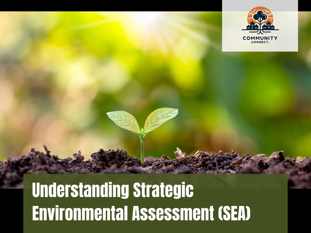 Understanding Strategic Environmental Assessment (SEA)